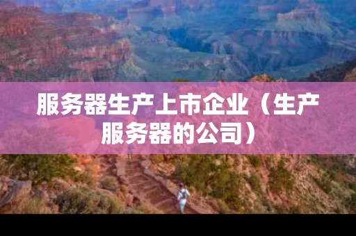 服务器生产上市企业（生产服务器的公司）