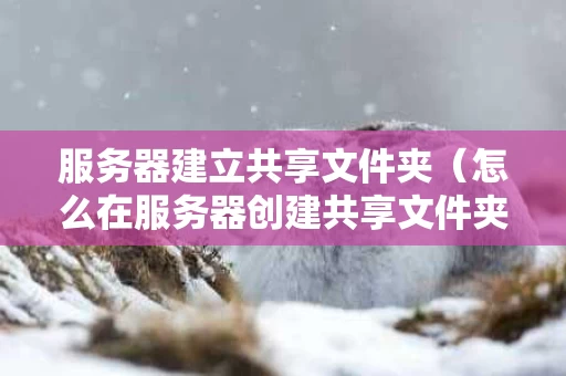 服务器建立共享文件夹（怎么在服务器创建共享文件夹,供别人访问）