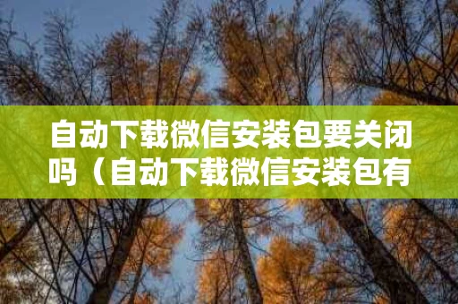 自动下载微信安装包要关闭吗（自动下载微信安装包有什么用）