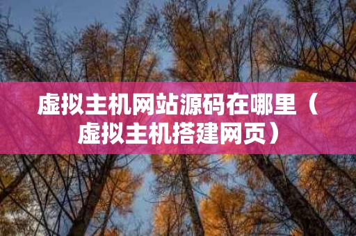 虚拟主机网站源码在哪里（虚拟主机搭建网页）
