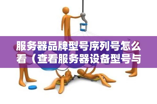 服务器品牌型号序列号怎么看（查看服务器设备型号与序列号）