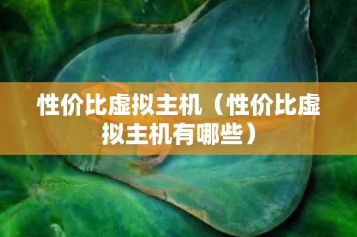 性价比虚拟主机（性价比虚拟主机有哪些）