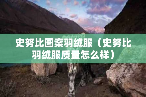 史努比图案羽绒服（史努比羽绒服质量怎么样）