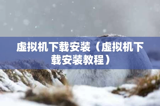 虚拟机下载安装（虚拟机下载安装教程）