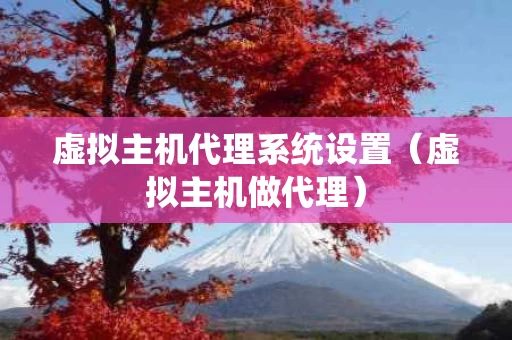 虚拟主机代理系统设置（虚拟主机做代理）