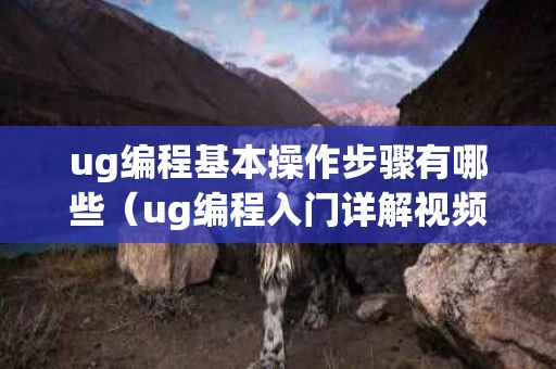 ug编程基本操作步骤有哪些（ug编程入门详解视频）