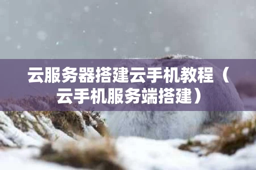 云服务器搭建云手机教程（云手机服务端搭建）