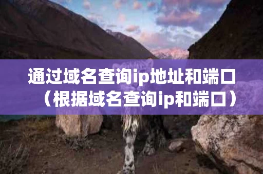 通过域名查询ip地址和端口（根据域名查询ip和端口）