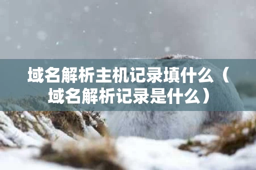 域名解析主机记录填什么（域名解析记录是什么）
