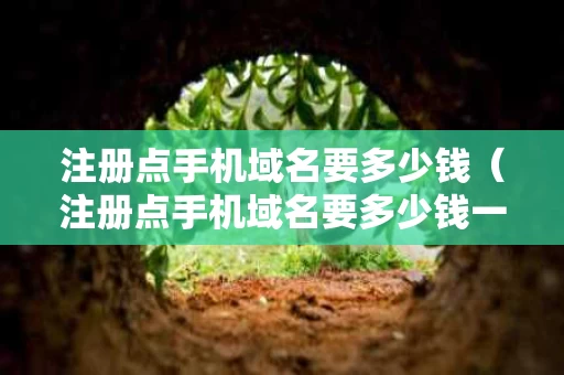 注册点手机域名要多少钱（注册点手机域名要多少钱一个）