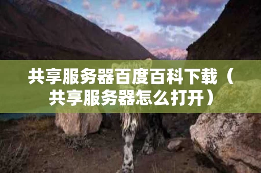 共享服务器百度百科下载（共享服务器怎么打开）