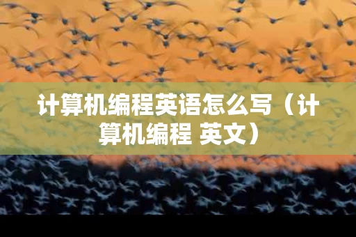 计算机编程英语怎么写（计算机编程 英文）