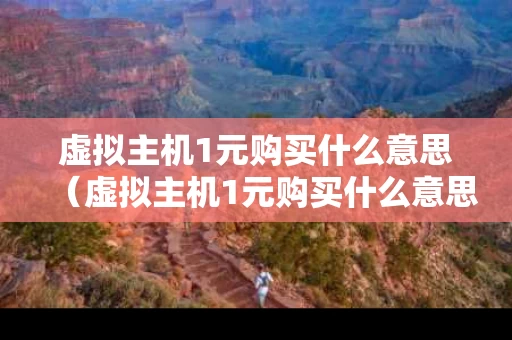 虚拟主机1元购买什么意思（虚拟主机1元购买什么意思啊）