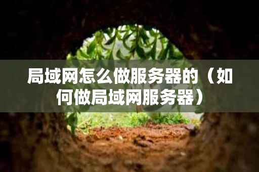 局域网怎么做服务器的（如何做局域网服务器）