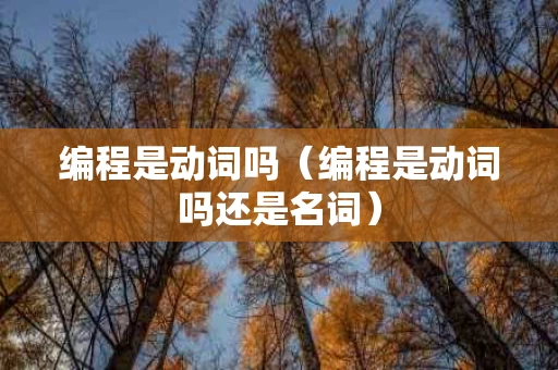 编程是动词吗（编程是动词吗还是名词）