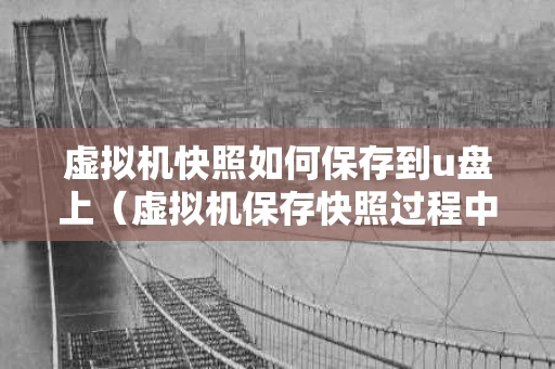 虚拟机快照如何保存到u盘上（虚拟机保存快照过程中能操作么）