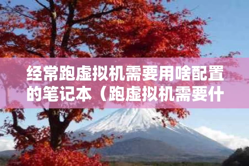 经常跑虚拟机需要用啥配置的笔记本（跑虚拟机需要什么配置）