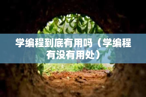 学编程到底有用吗（学编程有没有用处）