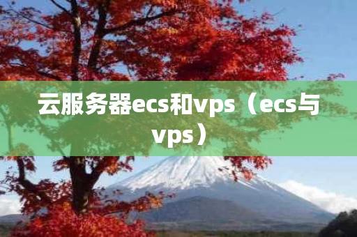 云服务器ecs和vps（ecs与vps）