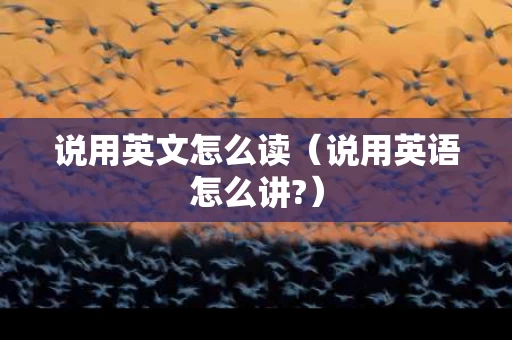 说用英文怎么读（说用英语怎么讲?）