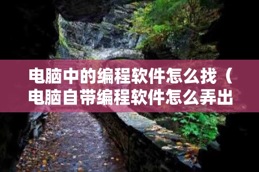 电脑中的编程软件怎么找（电脑自带编程软件怎么弄出来）
