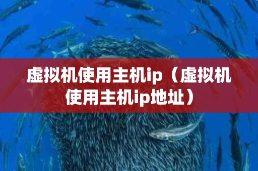 虚拟机使用主机ip（虚拟机使用主机ip地址）