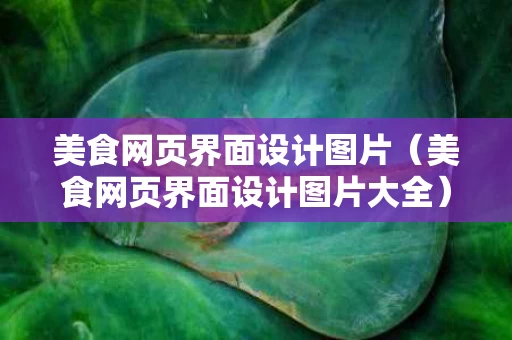 美食网页界面设计图片（美食网页界面设计图片大全）