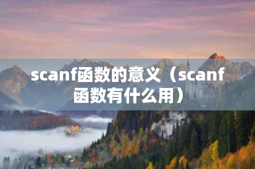 scanf函数的意义（scanf函数有什么用）