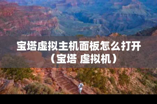 宝塔虚拟主机面板怎么打开（宝塔 虚拟机）