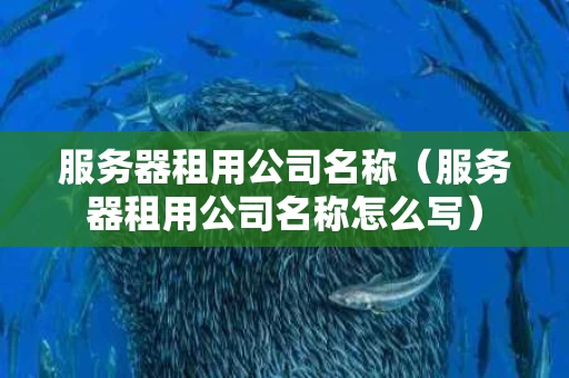 服务器租用公司名称（服务器租用公司名称怎么写）