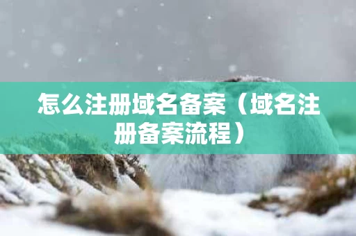 怎么注册域名备案（域名注册备案流程）