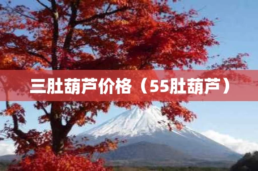 三肚葫芦价格（55肚葫芦）