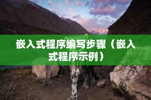 嵌入式程序编写步骤（嵌入式程序示例）