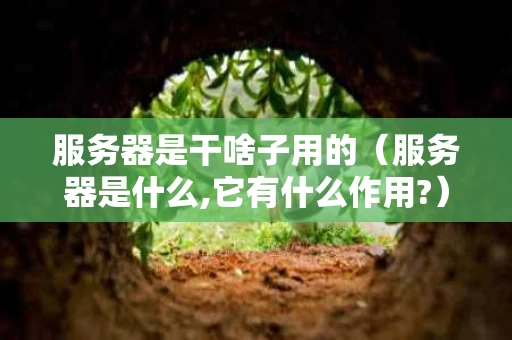 服务器是干啥子用的（服务器是什么,它有什么作用?）