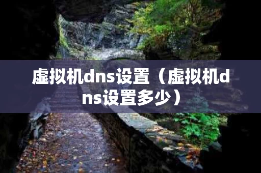虚拟机dns设置（虚拟机dns设置多少）