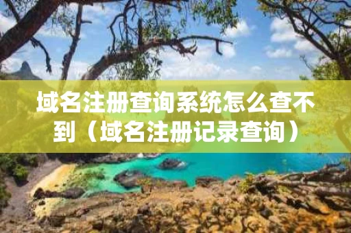 域名注册查询系统怎么查不到（域名注册记录查询）