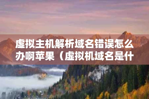 虚拟主机解析域名错误怎么办啊苹果（虚拟机域名是什么意思）