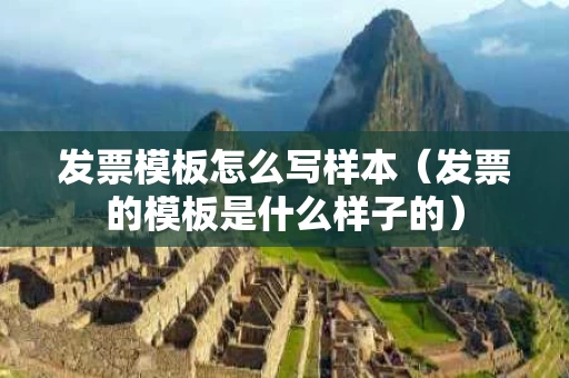 发票模板怎么写样本（发票的模板是什么样子的）