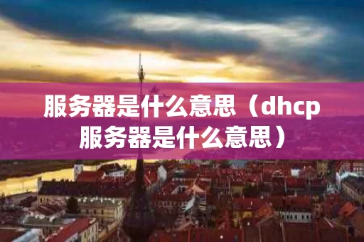 服务器是什么意思（dhcp服务器是什么意思）