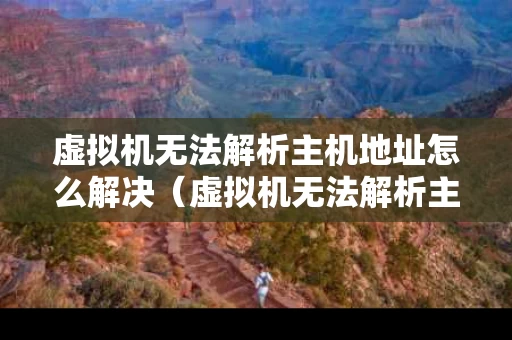 虚拟机无法解析主机地址怎么解决（虚拟机无法解析主机名）