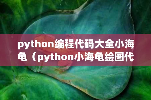 python编程代码大全小海龟（python小海龟绘图代码）