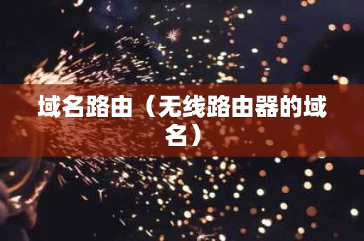 域名路由（无线路由器的域名）