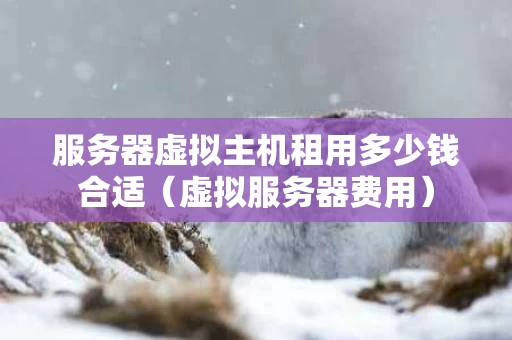 服务器虚拟主机租用多少钱合适（虚拟服务器费用）