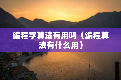 编程学算法有用吗（编程算法有什么用）
