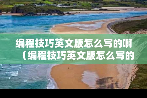 编程技巧英文版怎么写的啊（编程技巧英文版怎么写的啊视频）