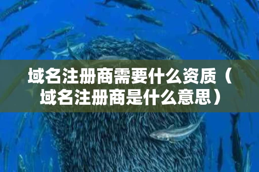 域名注册商需要什么资质（域名注册商是什么意思）