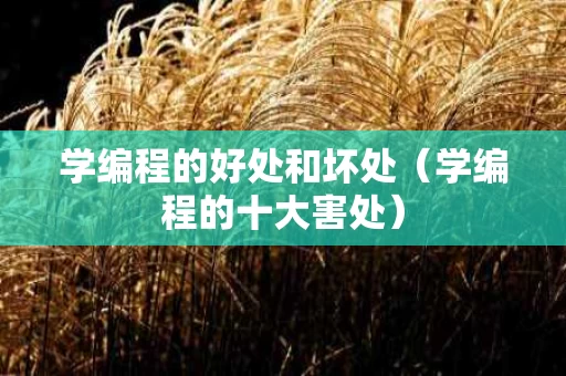 学编程的好处和坏处（学编程的十大害处）