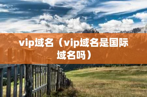 vip域名（vip域名是国际域名吗）