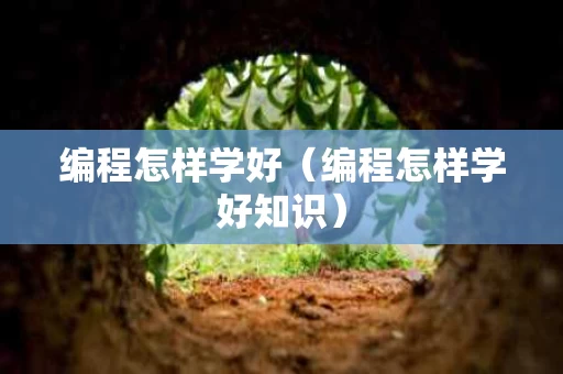 编程怎样学好（编程怎样学好知识）