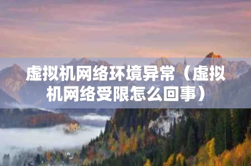 虚拟机网络环境异常（虚拟机网络受限怎么回事）